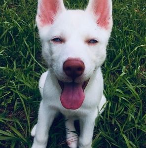 Meet your Posher, Debbie